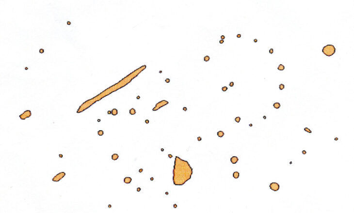 Fig. 1: Excavation plan of a Bronze Age house with a keyhole floor plan from Niederweimar