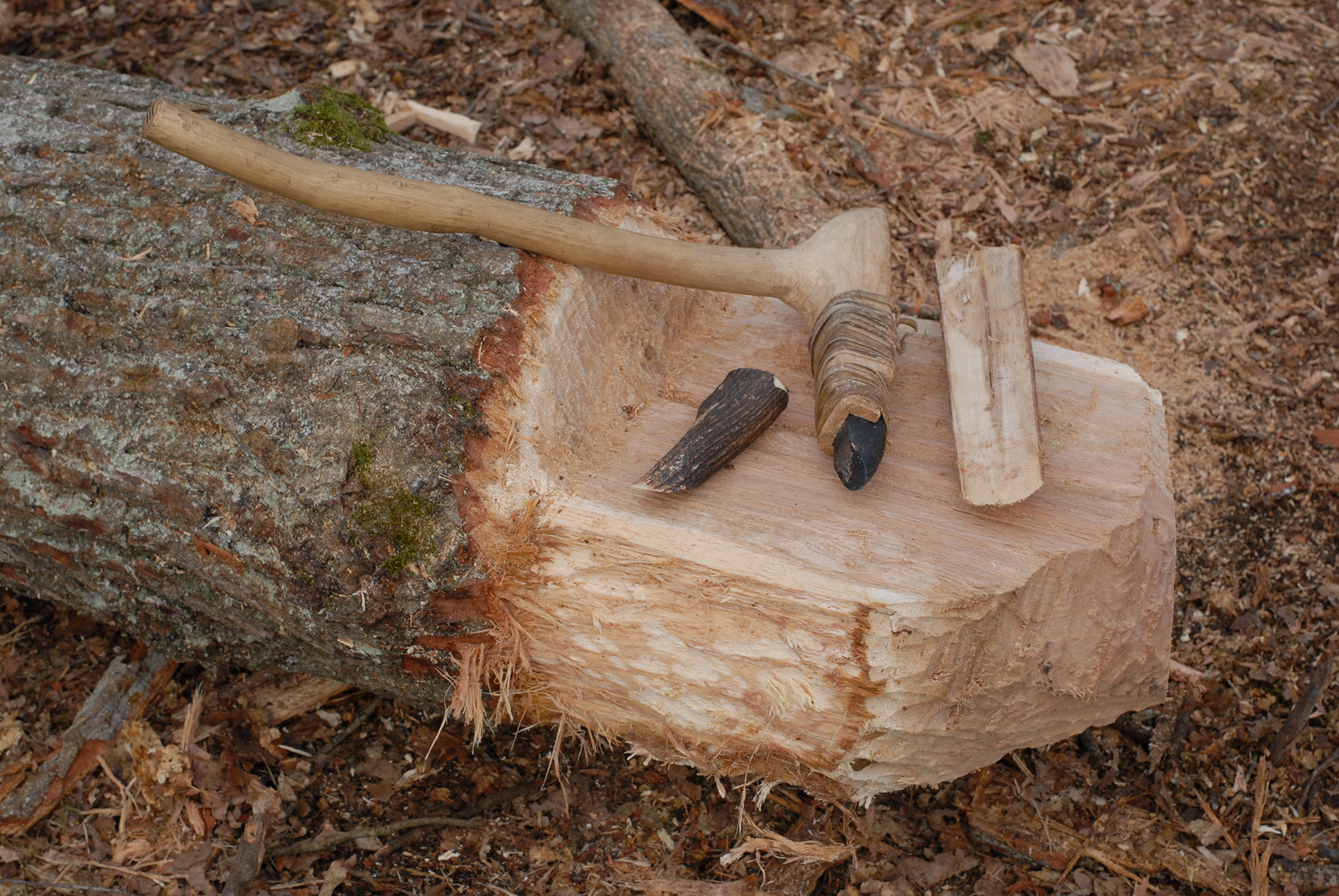 Fig. 11: Tap on an oak trunk and tools employed, Ergersheim Experiment No. 5, 2015