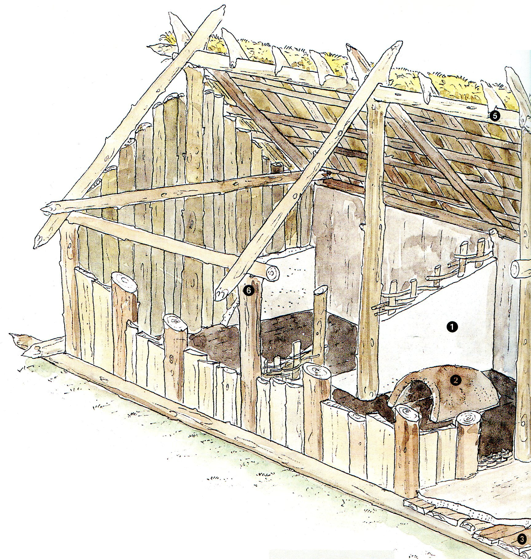 Fig. 6: Graphic reconstruction of a Riedschachen house, after Keefer 1996