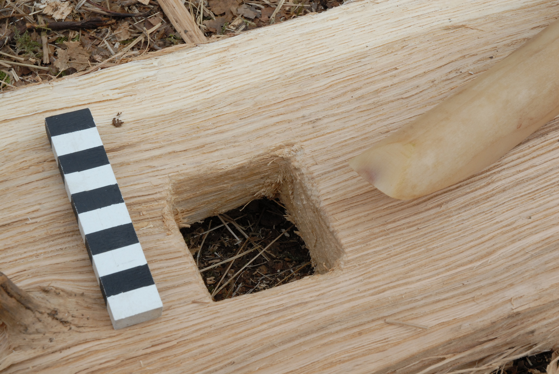 Fig. 9: Mortice, 6 x 6 cm, in an oak board, made with a bone chisel, Ergersheim Experiment No. 2, 2012