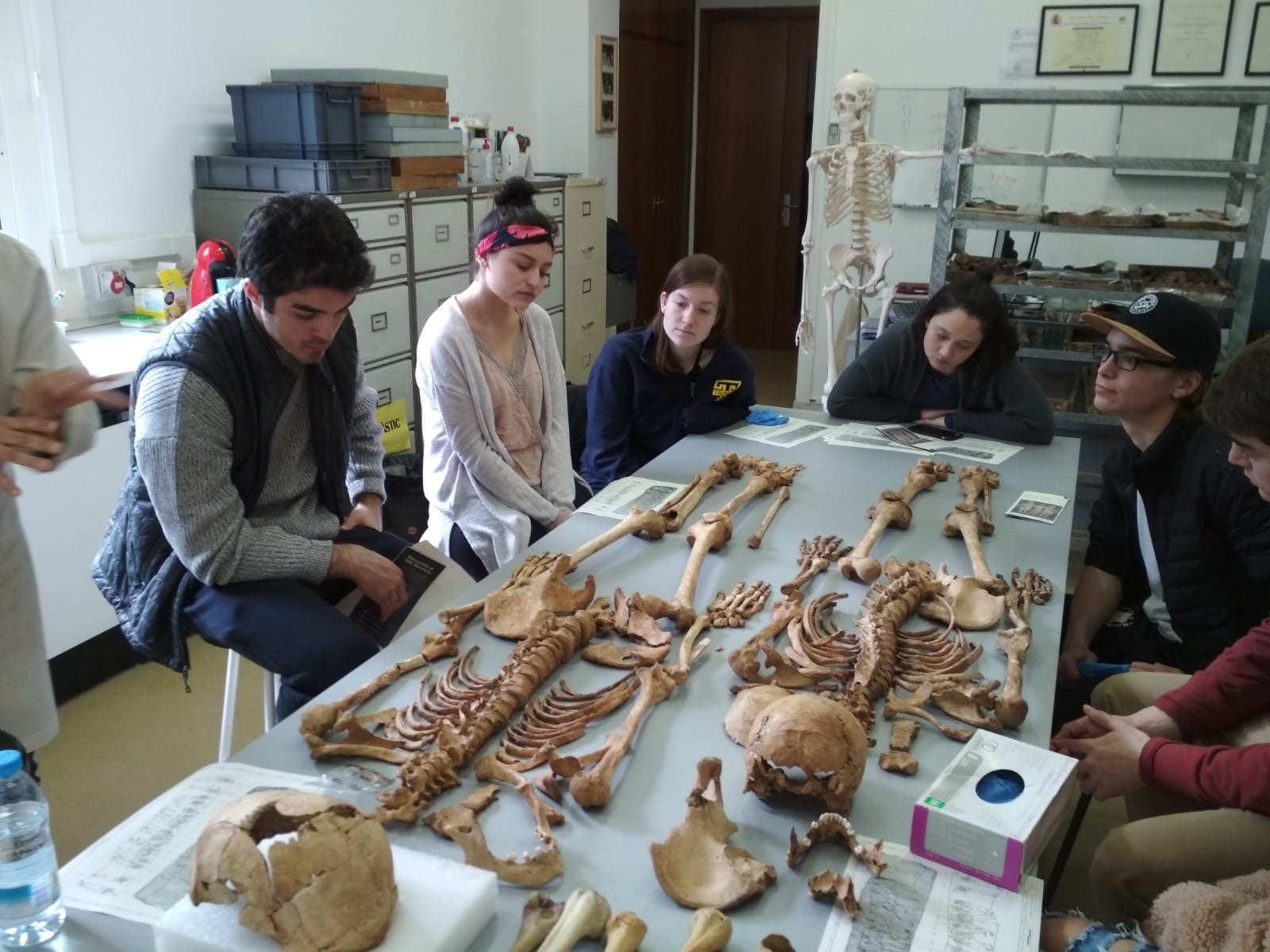 Fig. 7. Taller especial orientat a estudiants universitaris. Arxiu fotogràfic del Museu d’Arqueologia de Catalunya, Núria Armentano.