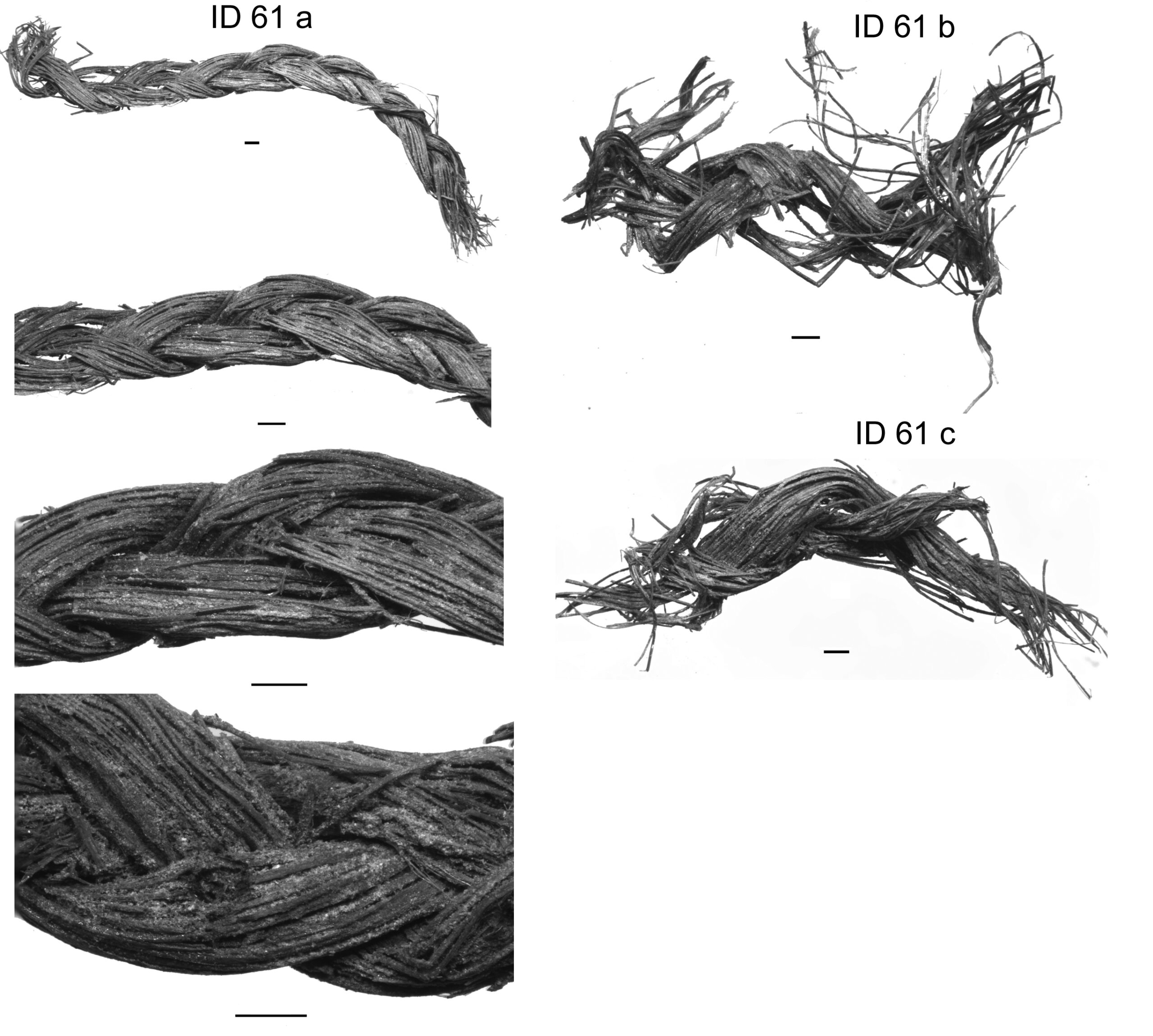 Figura 2. Coves de Santa Maira, boca oest (SM-W). Fragments de corda trenada amb fibres d’espart.