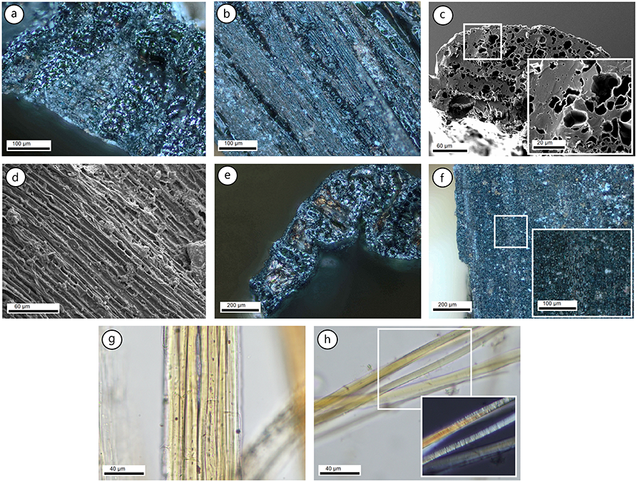 Figura 1. Ús de microscòpia òptica i electrònica per a la identificació de fibres de monocotiledònies (a-f) i bast fibres (g, h) (extreta d'Herrero-Otal et al. 2023).