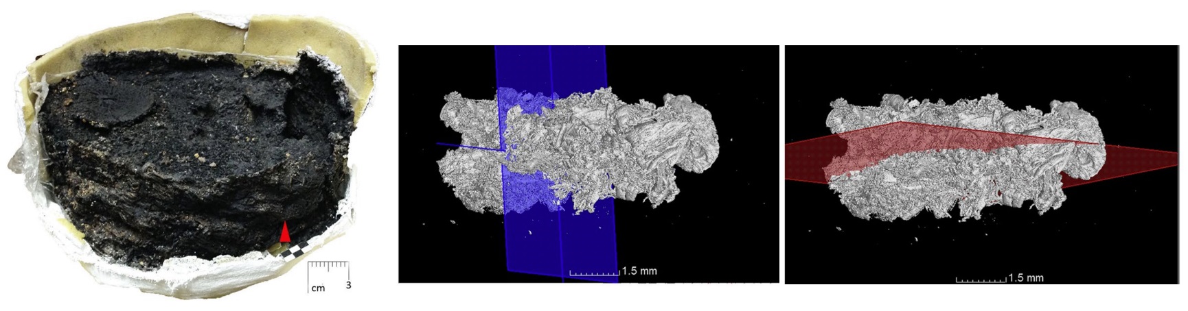 Figura 4. Imatges micro-CT de materials de cistelleria procedents d'Akrotiri (Grècia) (modificat d'Andonova 2021).