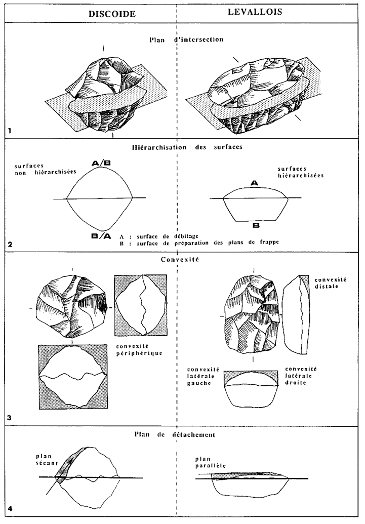Figura 1. Atributs volumètrics dels sistemes de producció d’ascles Levallois i discoide, segons Boëda (1993), reproduït amb permís de l’autor.