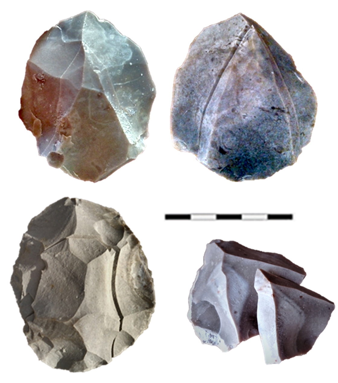 Figura 3. Nuclis Levallois amb extracció preferencial. En els nuclis de la fila superior s’han reproduït puntes amb preparació centrípeta o «construïda» (esquerra) i preparació unipolar (dreta). A la fila inferior: nucli amb extracció d’ascla preferencial i preparació centrípeta, i nucli amb punta Levallois de base ampla i preparació unipolar. Experiments i imatges de l’autor.
