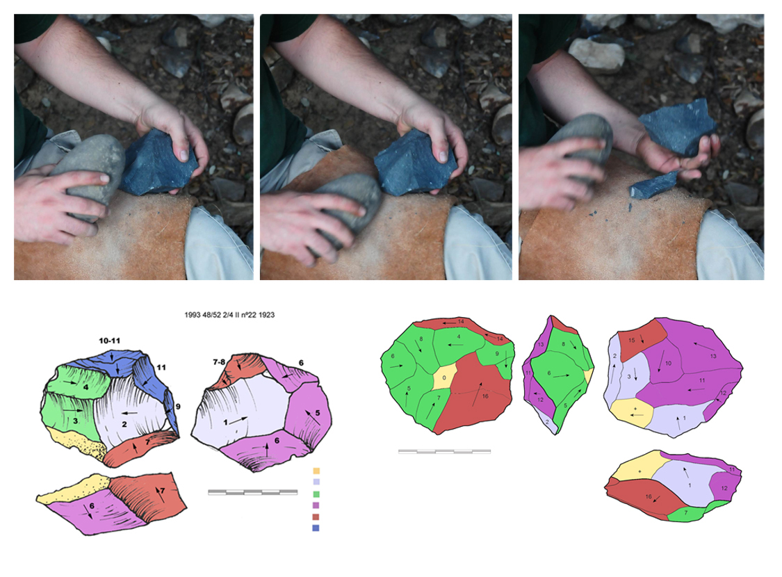Figura 6. Nuclis amb estructura volumètrica en dues superfícies tallats en matèries primeres tenaces. A dalt: seqüència de tres imatges d’obtenció d’una ascla en cornubianita seguint esquemes operatius del Turó de la Bateria (Girona) (imatges: Toni Palomo, experimentació de l’autor). A sota, a l’esquerra: esquema diacrític de nucli arqueològic de basalt del nivell II de Dmanisi (República de Geòrgia) amb negatius centrals amplis que recorda, en la seva forma, un nucli Levallois en què, no obstant, hi ha sèries posteriors d’extraccions secants (imatge: Javier Baena). A sota, a la dreta: nucli experimental en basalt de la regió de Peninj (Tanzània), elaborat sobre ascla i segons un esquema d’alternança discontínua que ha generat un nucli de tipus discoides jerarquitzat (experiment i dibuix de l’autor).