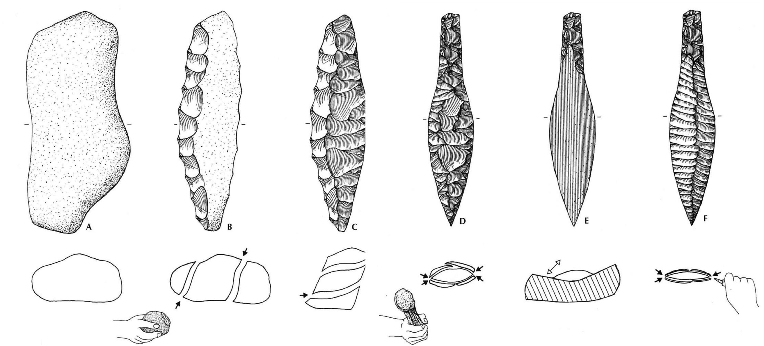 Figura 1. Representació simplificada dels passos individuals de producció d'una daga de sílex (Vang Petersen, 2008). Figura 1. Representació simplificada dels passos individuals de producció d'una daga de sílex (Vang Petersen, 2008).