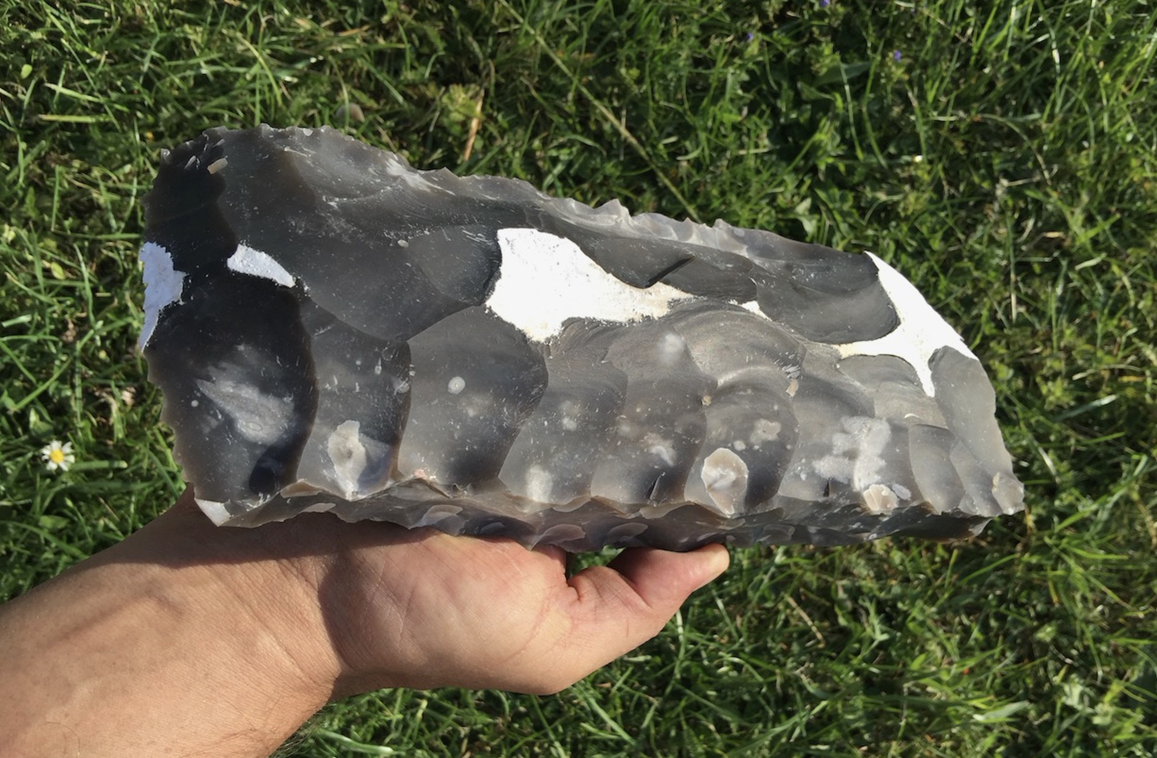 Figura 7. Preforma secundària amb restes de còrtex (R. Graf). Figura 7. Preforma secundària amb restes de còrtex (R. Graf).